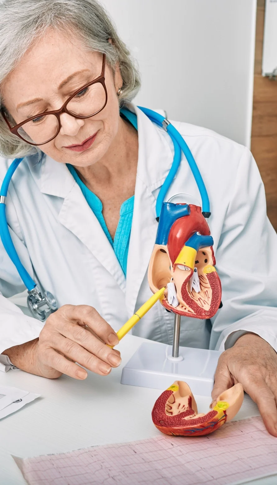 Cardiology