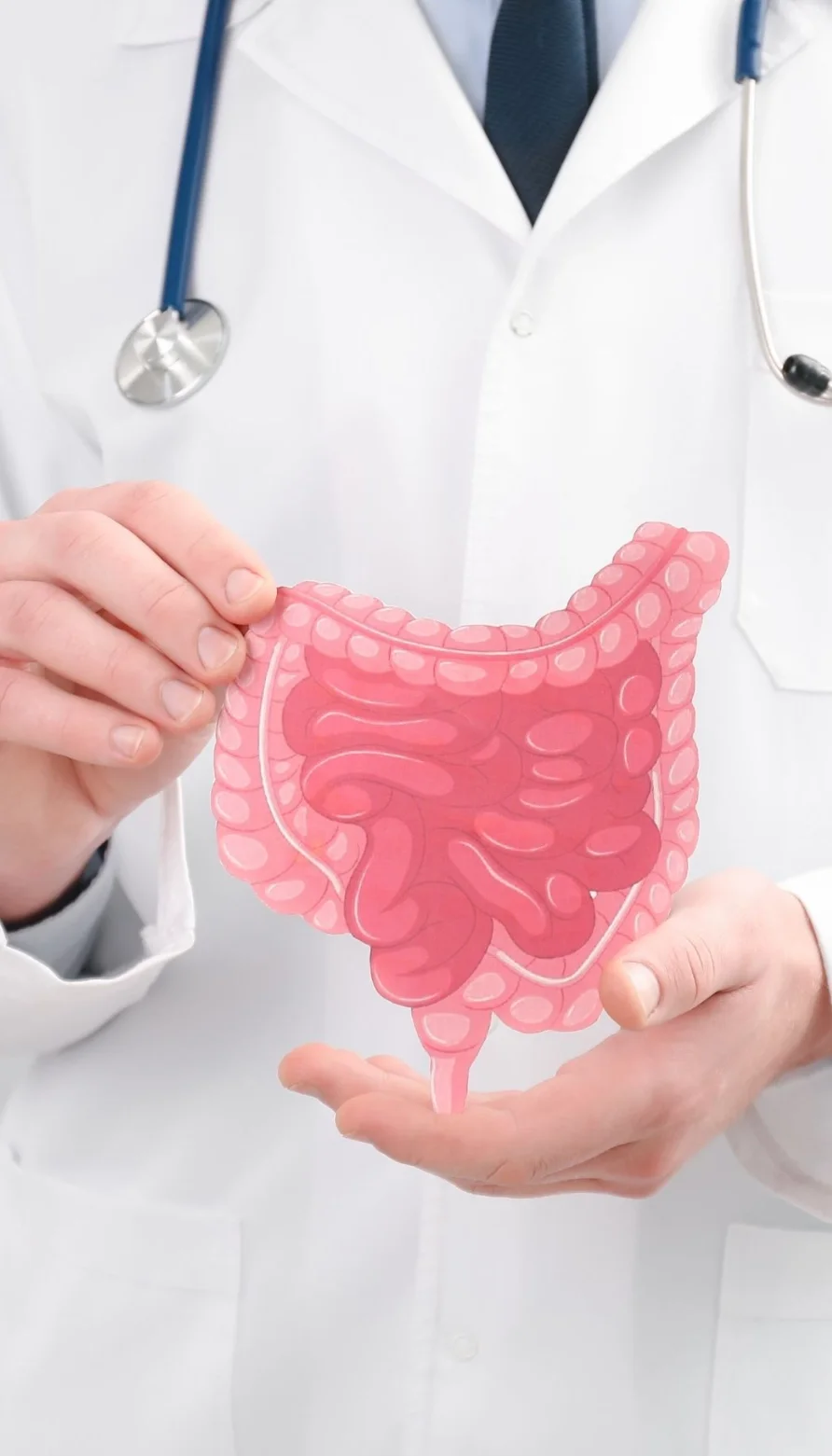 Gastroenterology 1